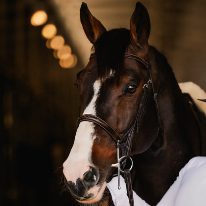 VENICE Hunter Bridle - HAYLO Equestrian