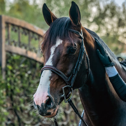 CARLO Hunter Bridle - HAYLO Equestrian