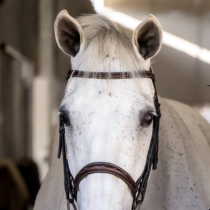 VENICE Hunter Bridle - HAYLO Equestrian