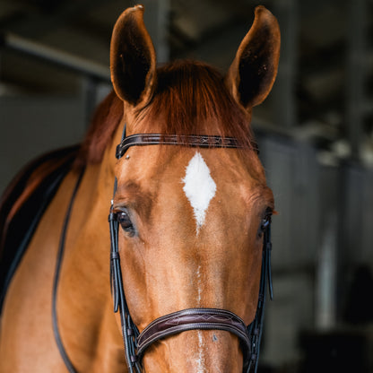 CARLO Hunter Bridle - HAYLO Equestrian