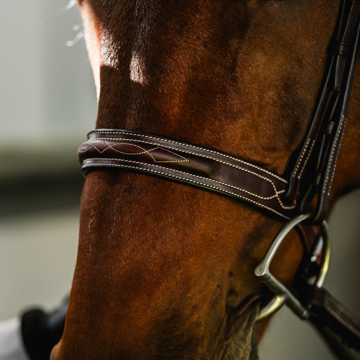 CARLO Hunter Bridle - HAYLO Equestrian