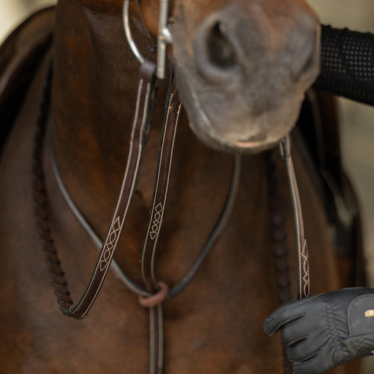 Fancy Stitch Standing Martingale - HAYLO Equestrian