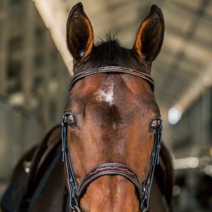 CARLO Hunter Bridle - HAYLO Equestrian