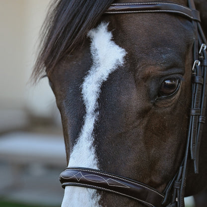 VENICE Hunter Bridle - HAYLO Equestrian