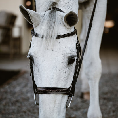 CARLO Hunter Bridle - HAYLO Equestrian